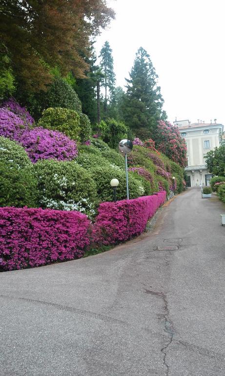 Residenza Del Pascia - Appartamento Camphora Oggebio Zimmer foto