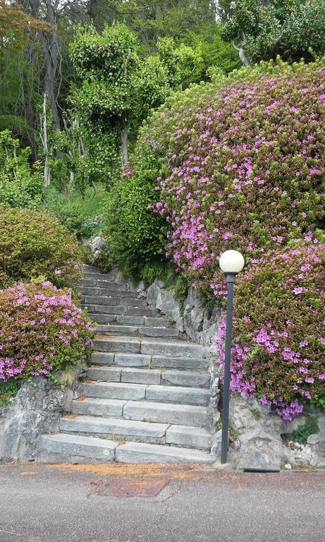 Residenza Del Pascia - Appartamento Camphora Oggebio Zimmer foto