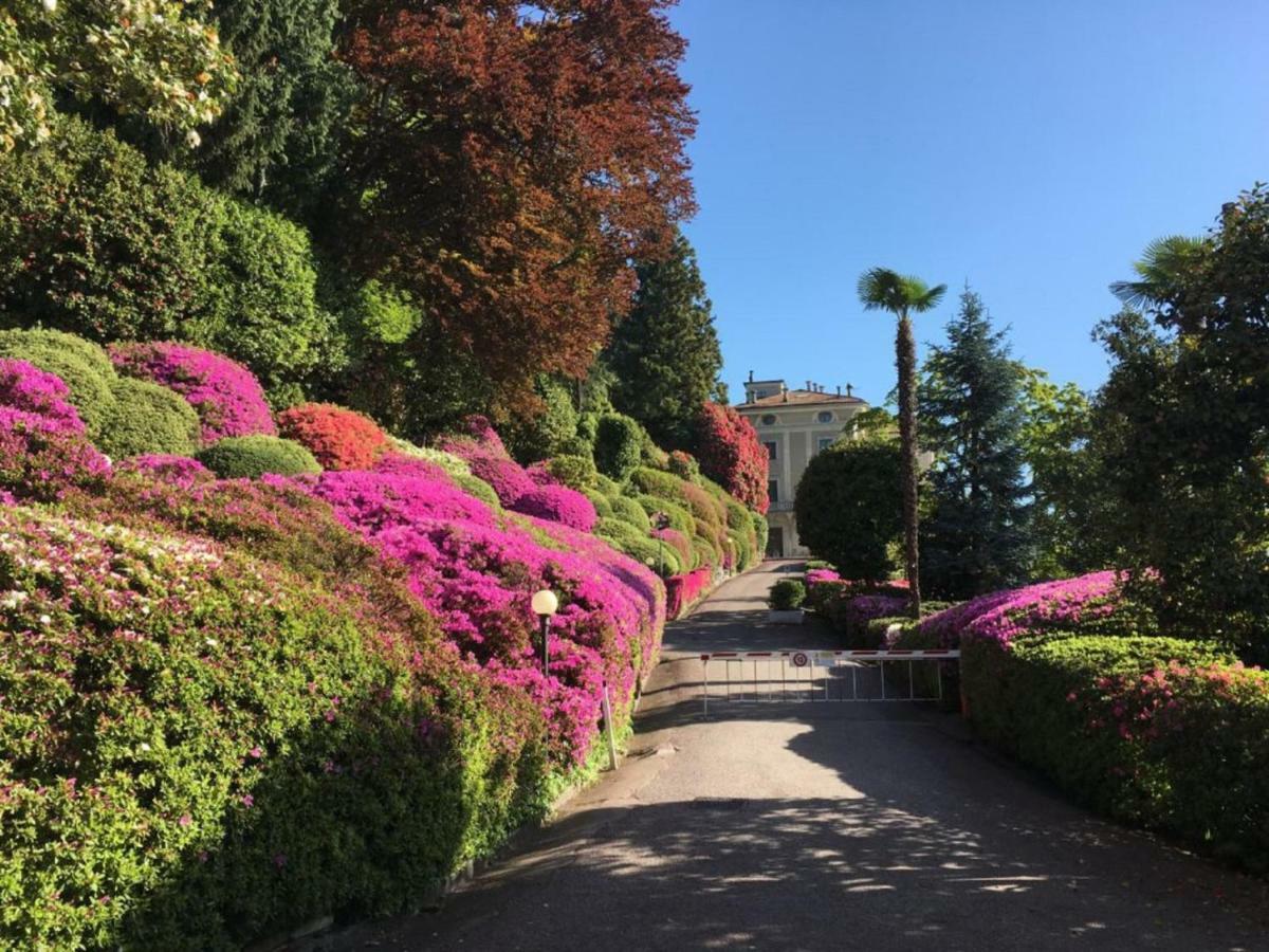 Residenza Del Pascia - Appartamento Camphora Oggebio Exterior foto